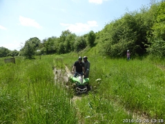 bining_026