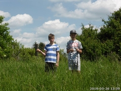 bining_030