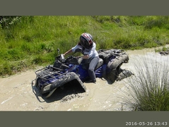 bining_036