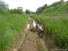 bining_147