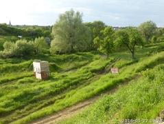 bining_199